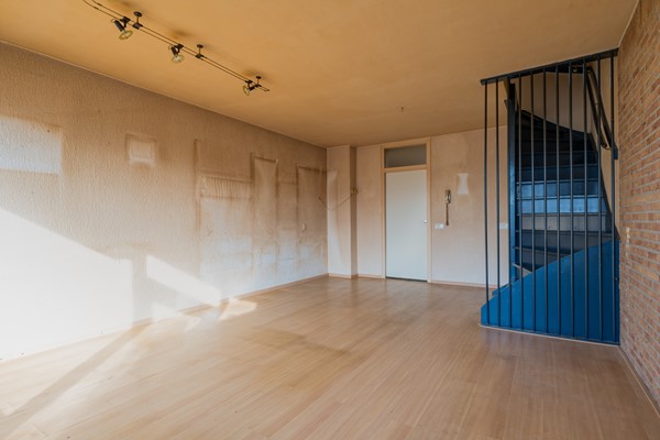 AAP 2026 ODHH 0218 019.jpeg